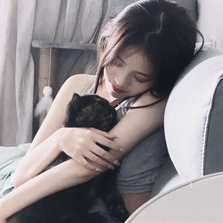 森林的终点是海